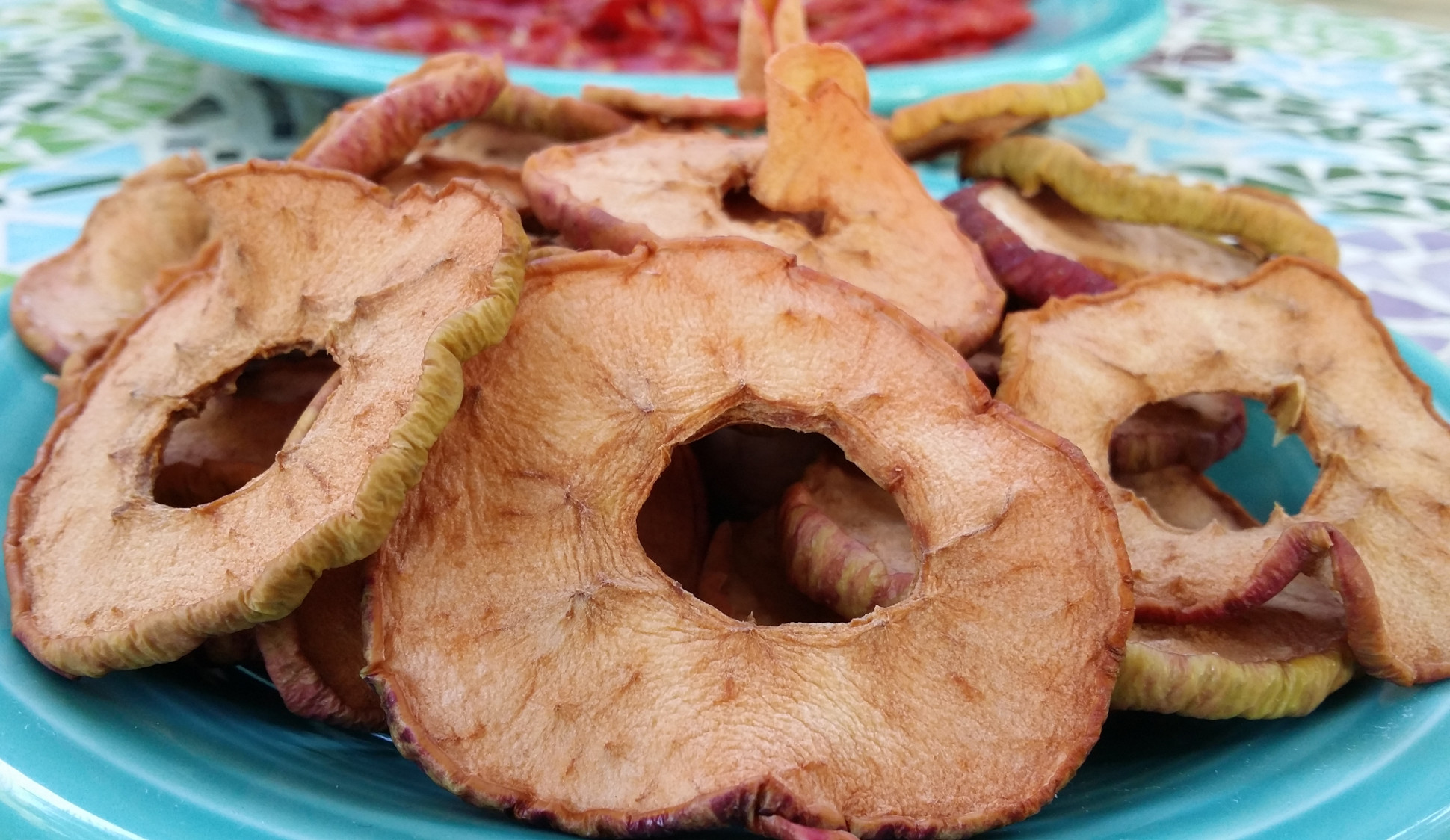 a plate of solar dried apple rings
