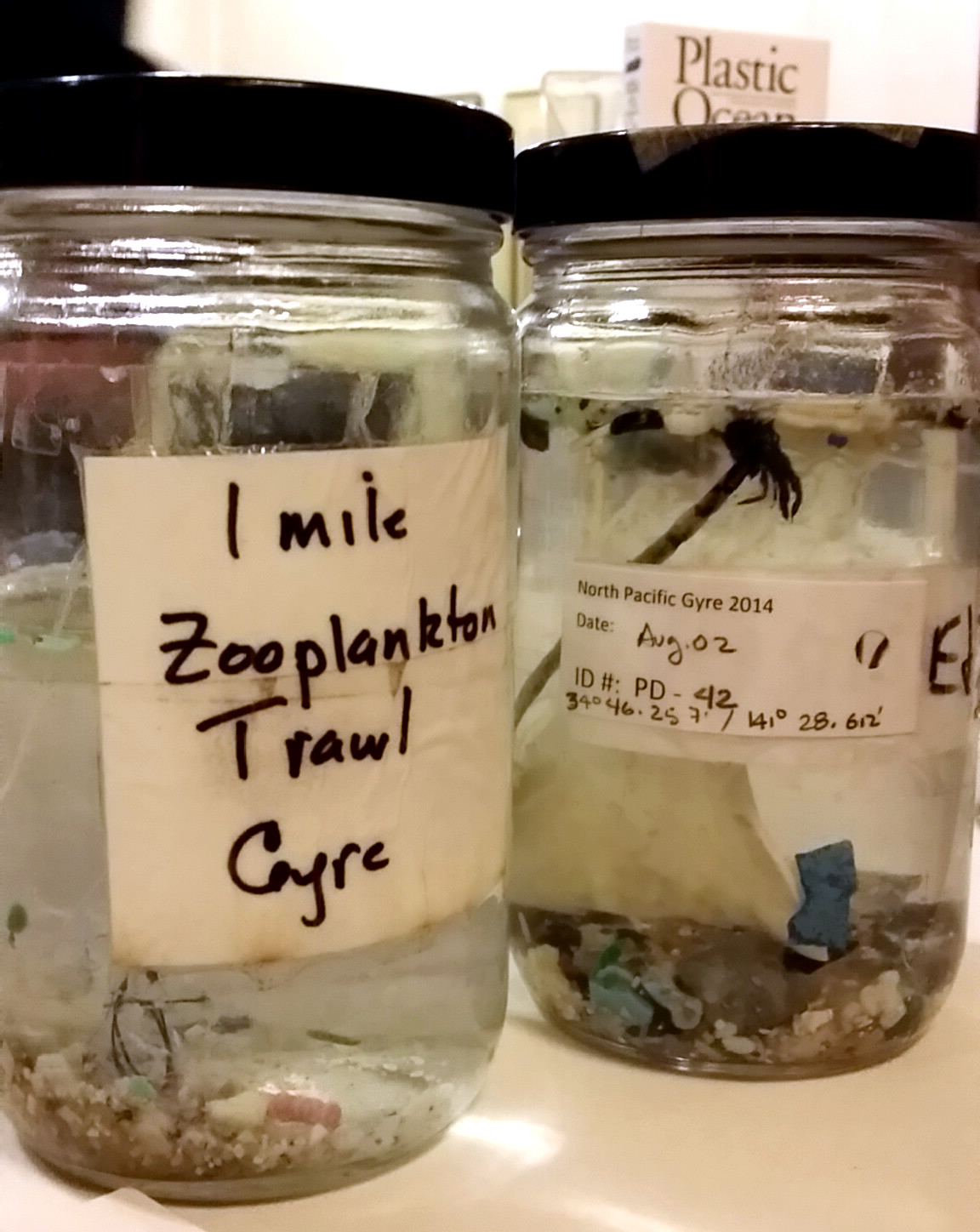 North Pacific Gyre samples