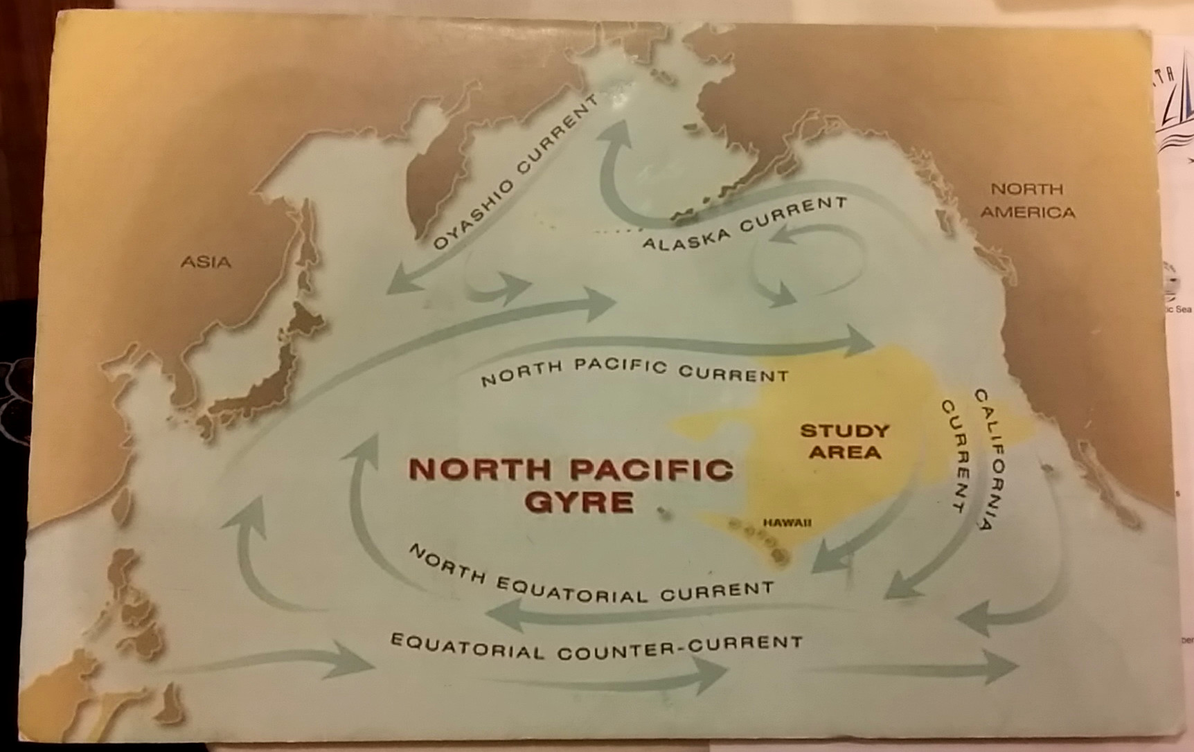 north pacific gyre