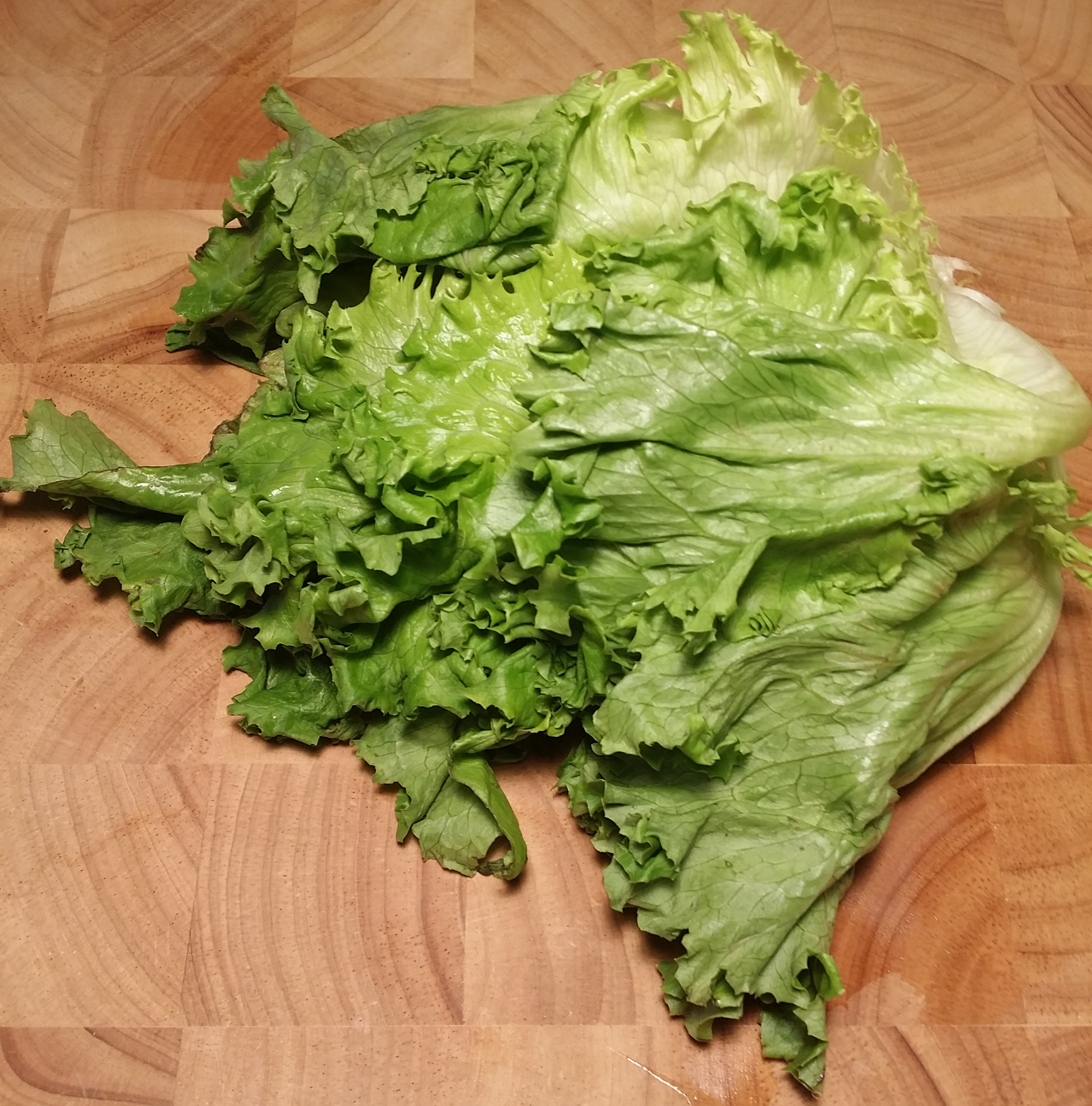 limp lettuce