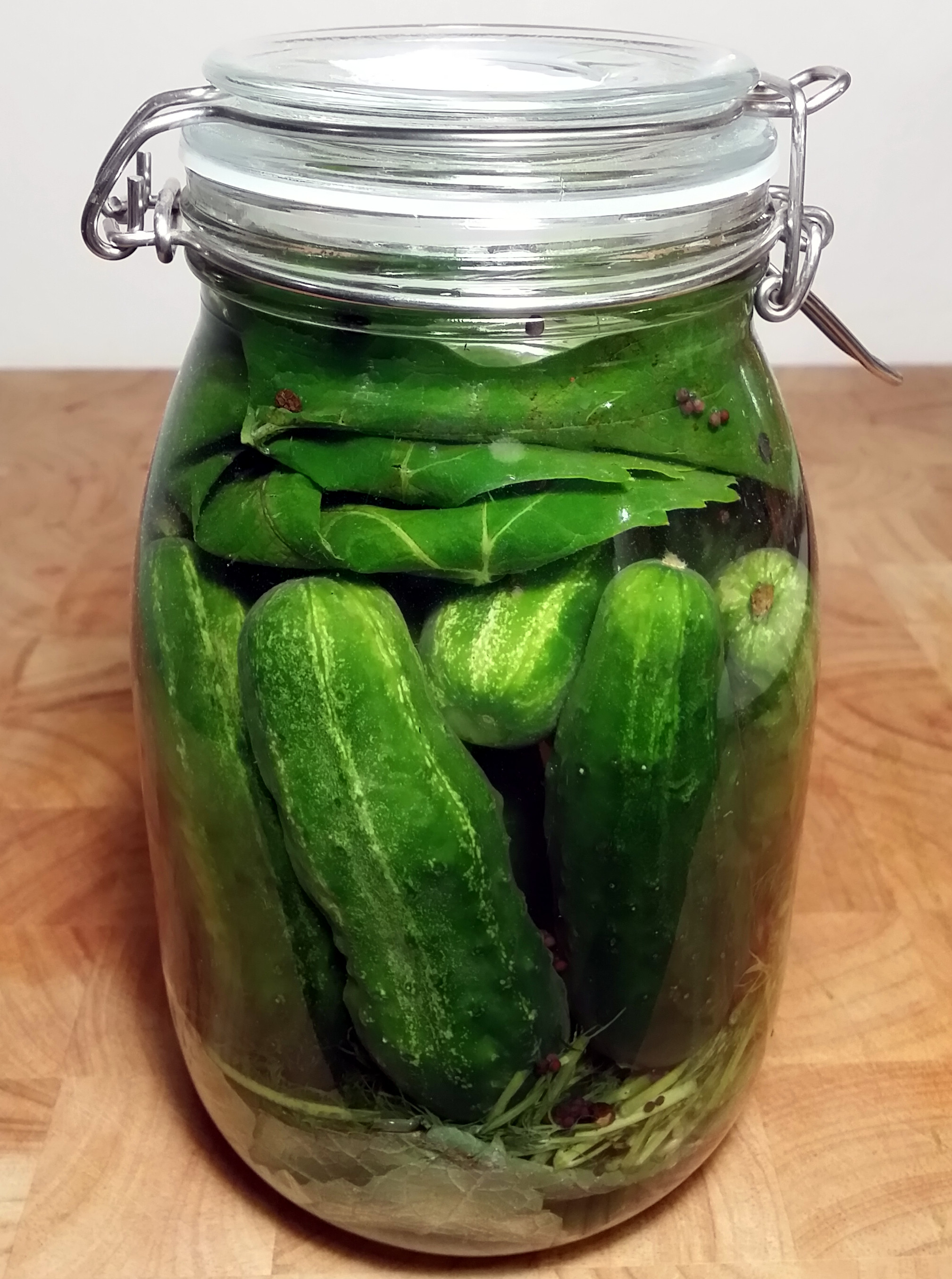 freshly packed cucumbers