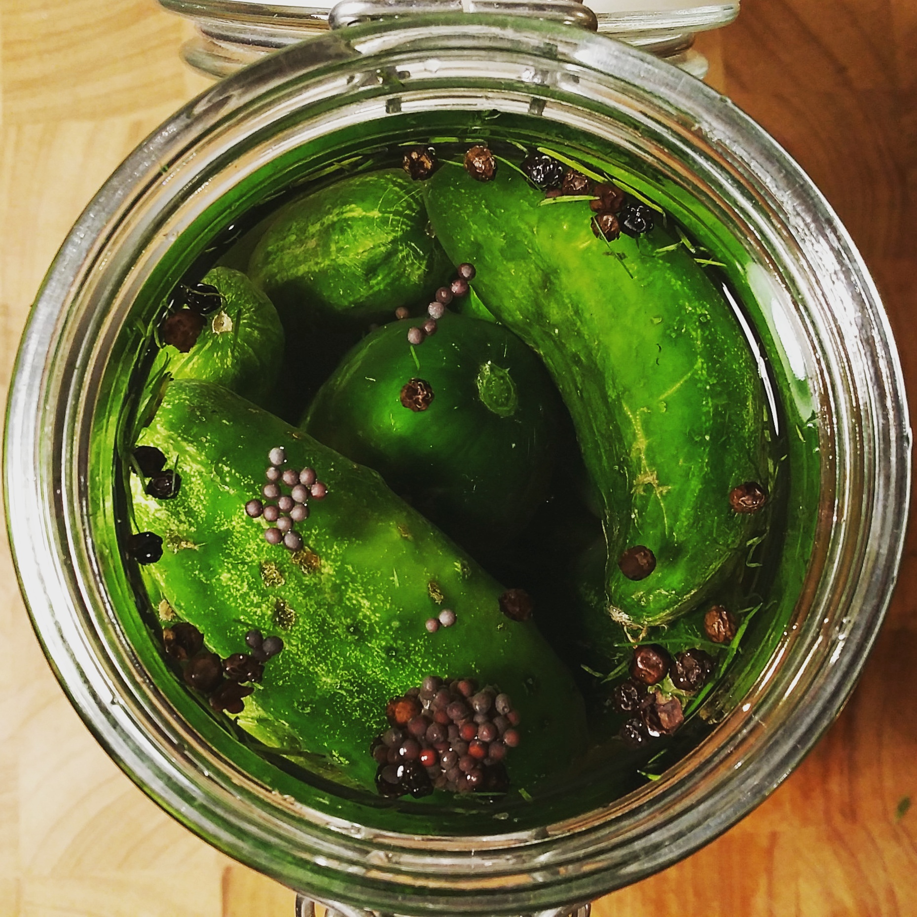 Top view of a jar of small cucumbers prepped for garlic dill pickles