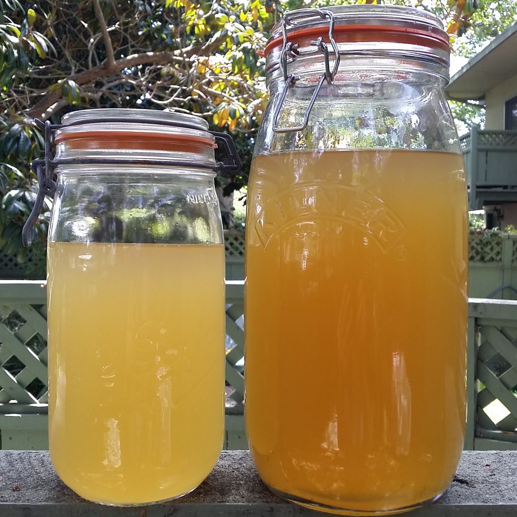 10 Alternatives to Bottled Water and Soda ZeroWaste Chef