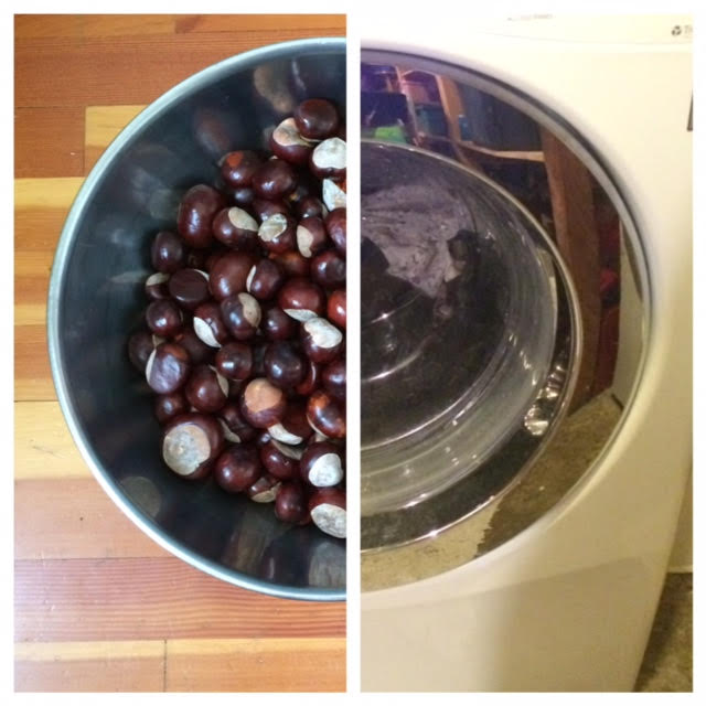washer-and-bowl-of-chestnuts