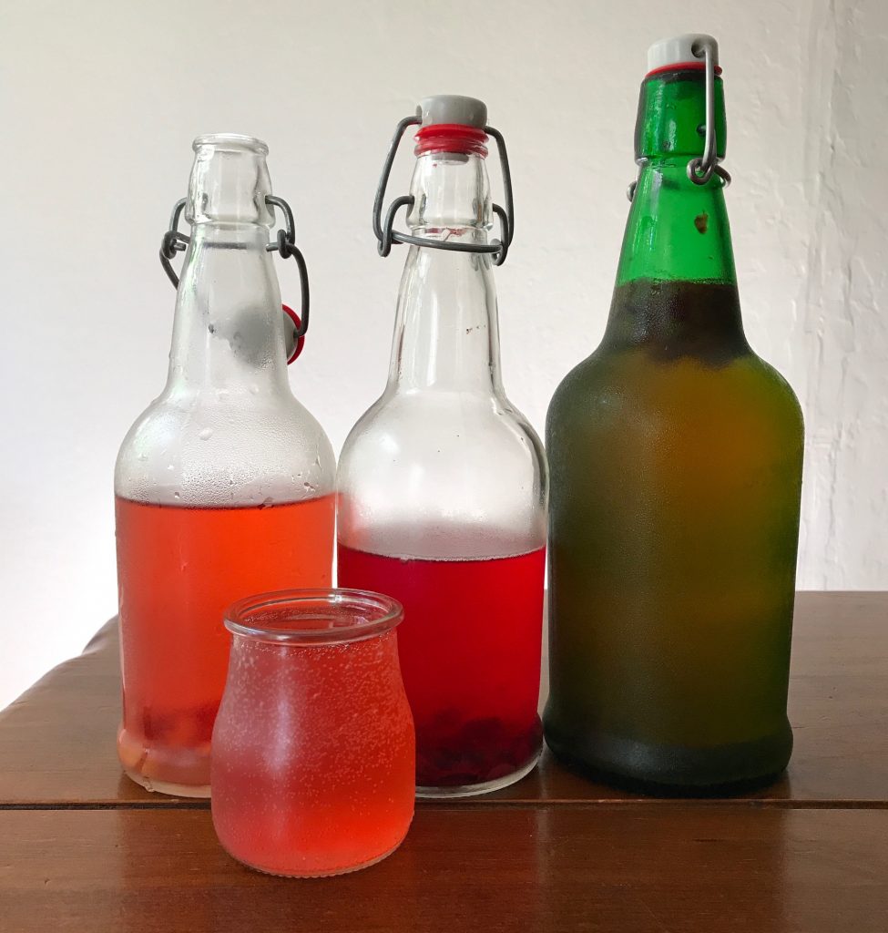 homemade kombucha
