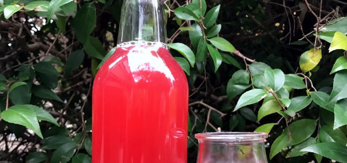 Hibiscus natural soda