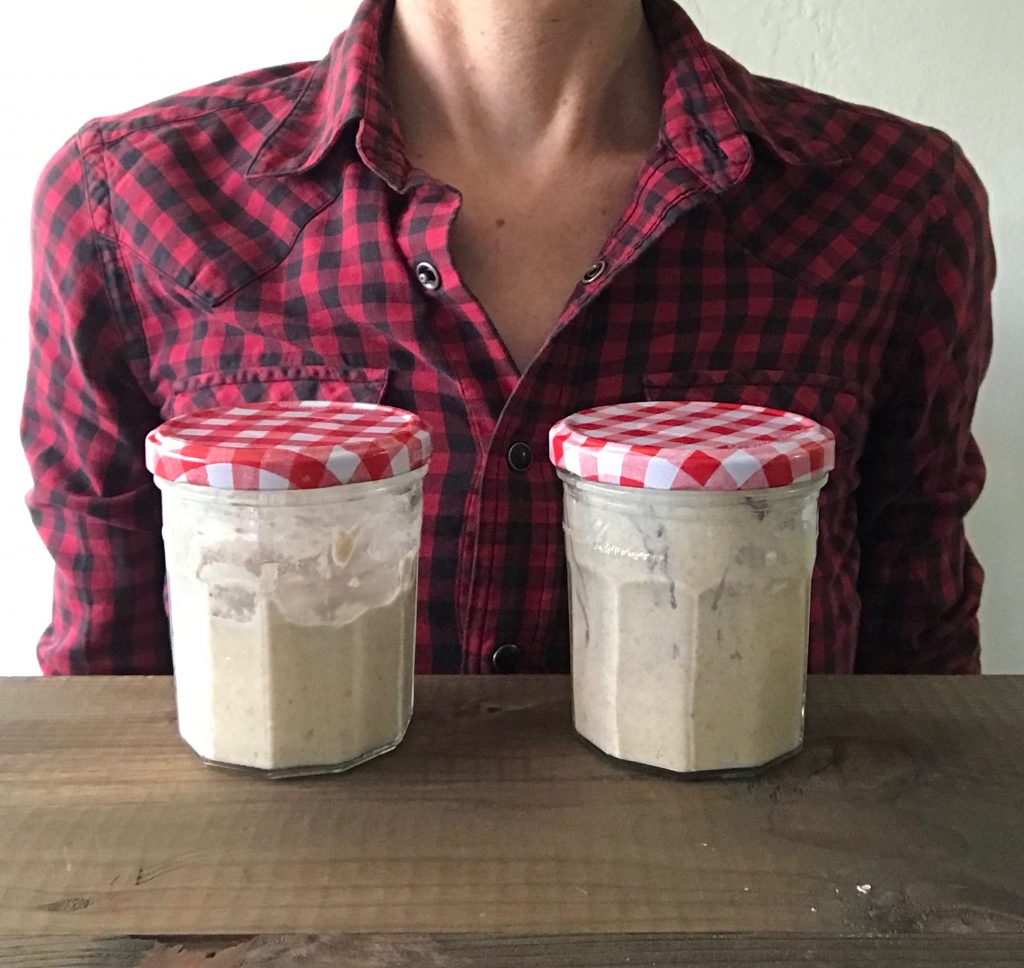 jars of sourdough starter for zero waste bread