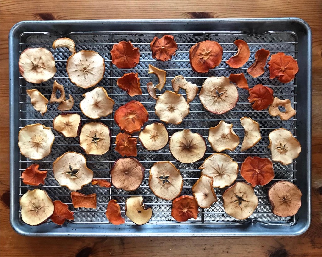 Dried apple and dried persimmon slices cool on a rack inside a baking tray