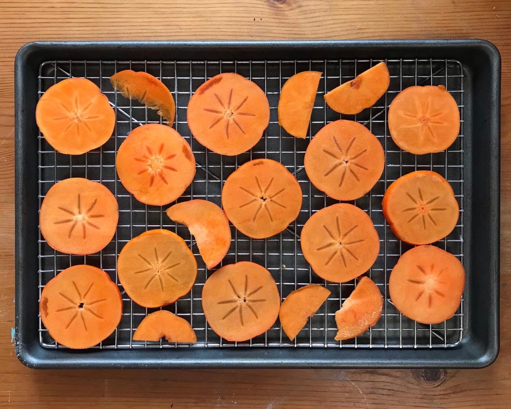 Fuyu persimmon slices spread across a metal rack before dehydrating
