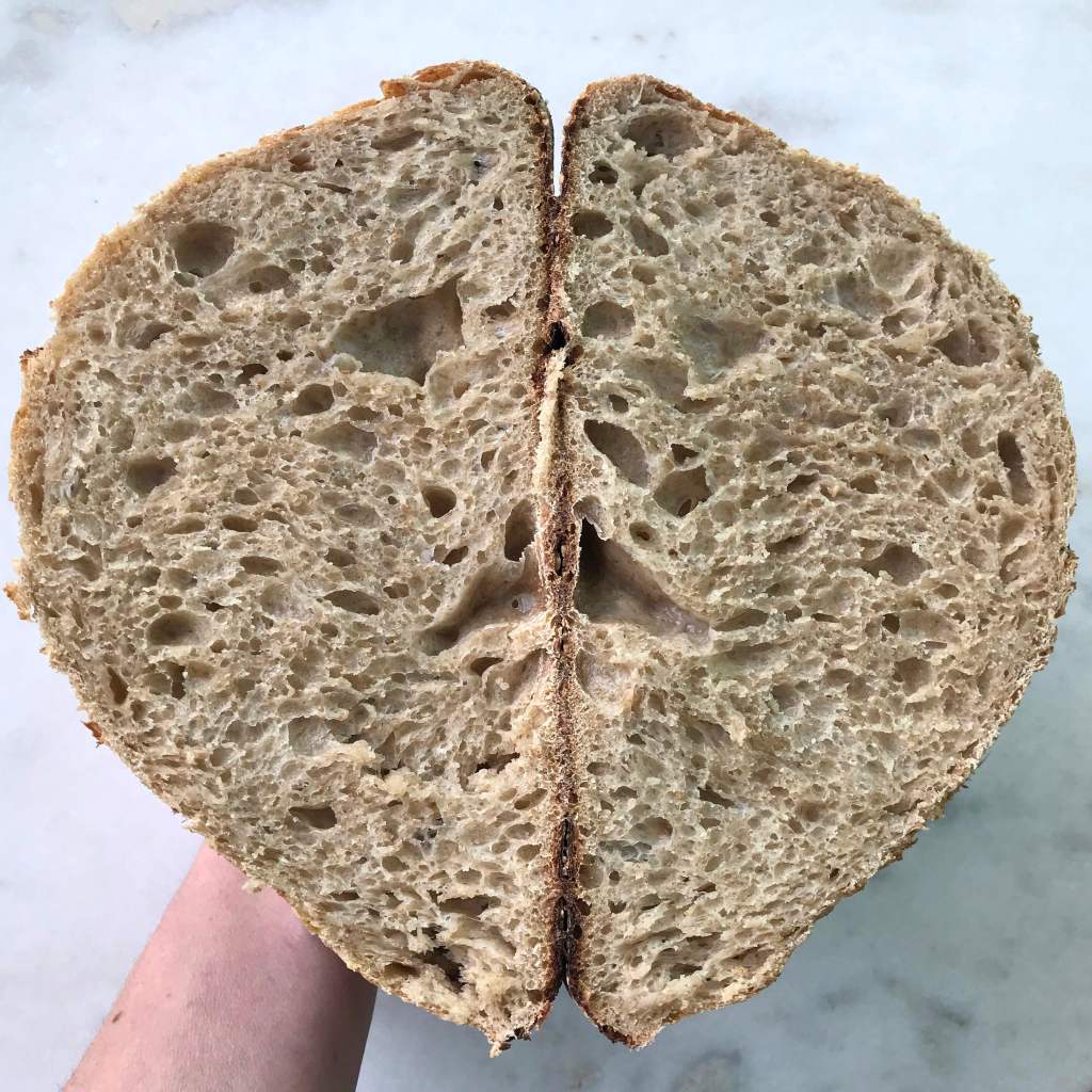 A loaf of whole wheat sourdough bread cut in half to show the interior crumb
