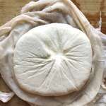 a round slab of unwrapped homemade paneer