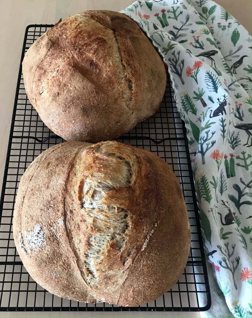 loaves of homemade sourdough bread