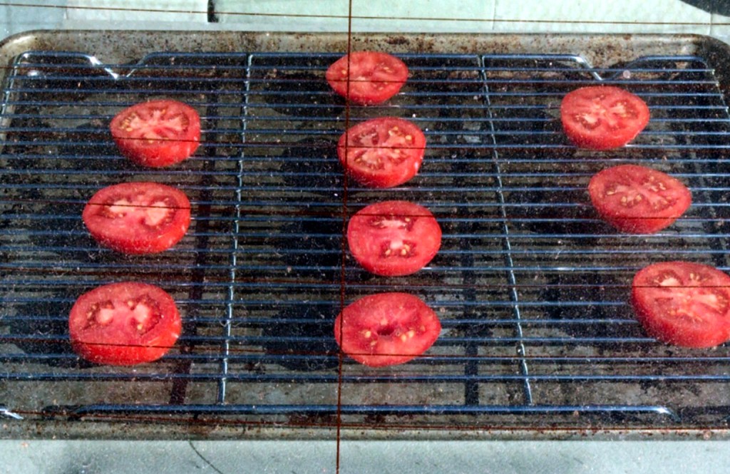 using the car as a solar dehydrator to dehydrate tomato slices