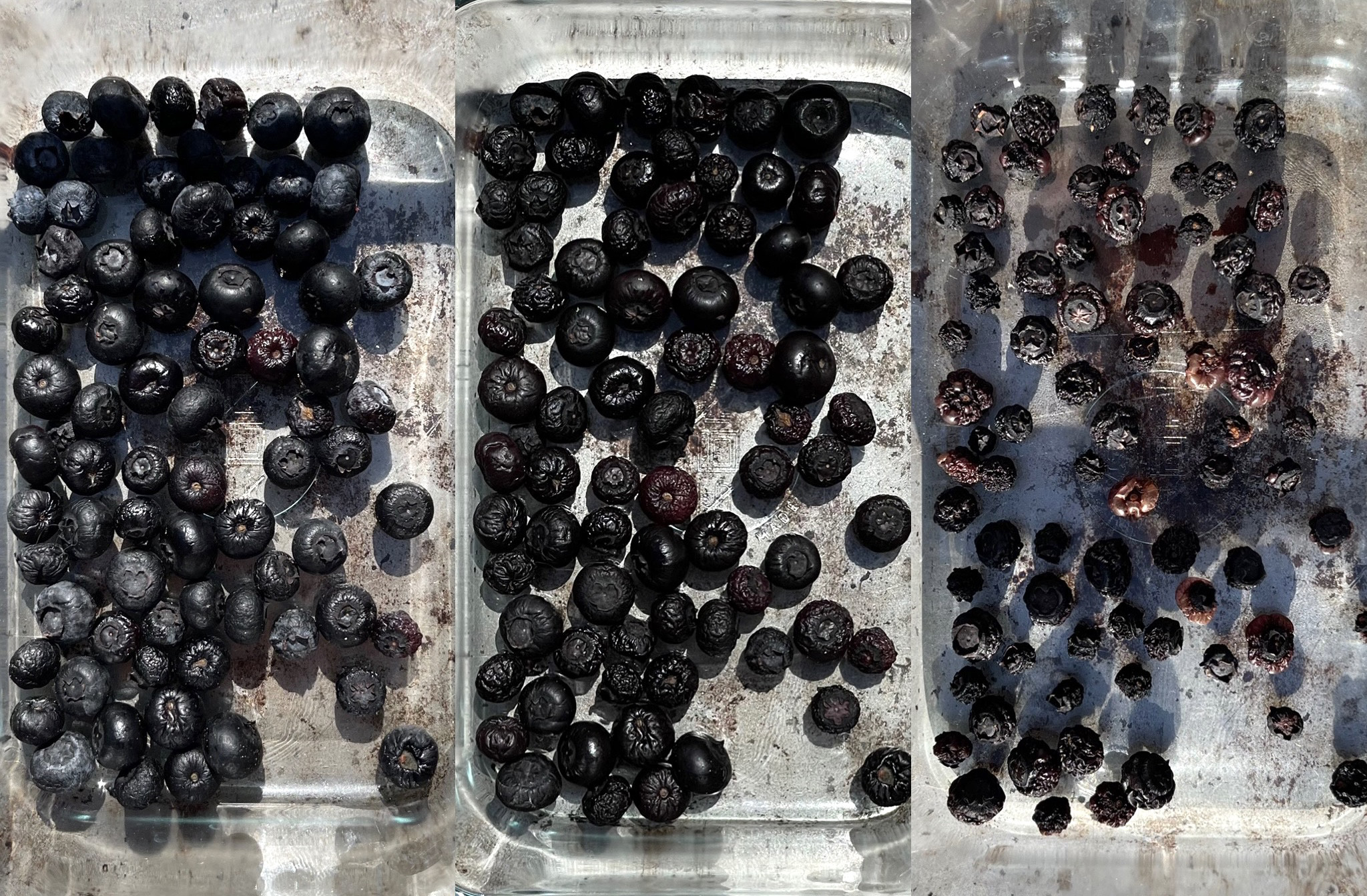 How to Dehydrate Fruit Outside Without a Solar Dehydrator - Zero