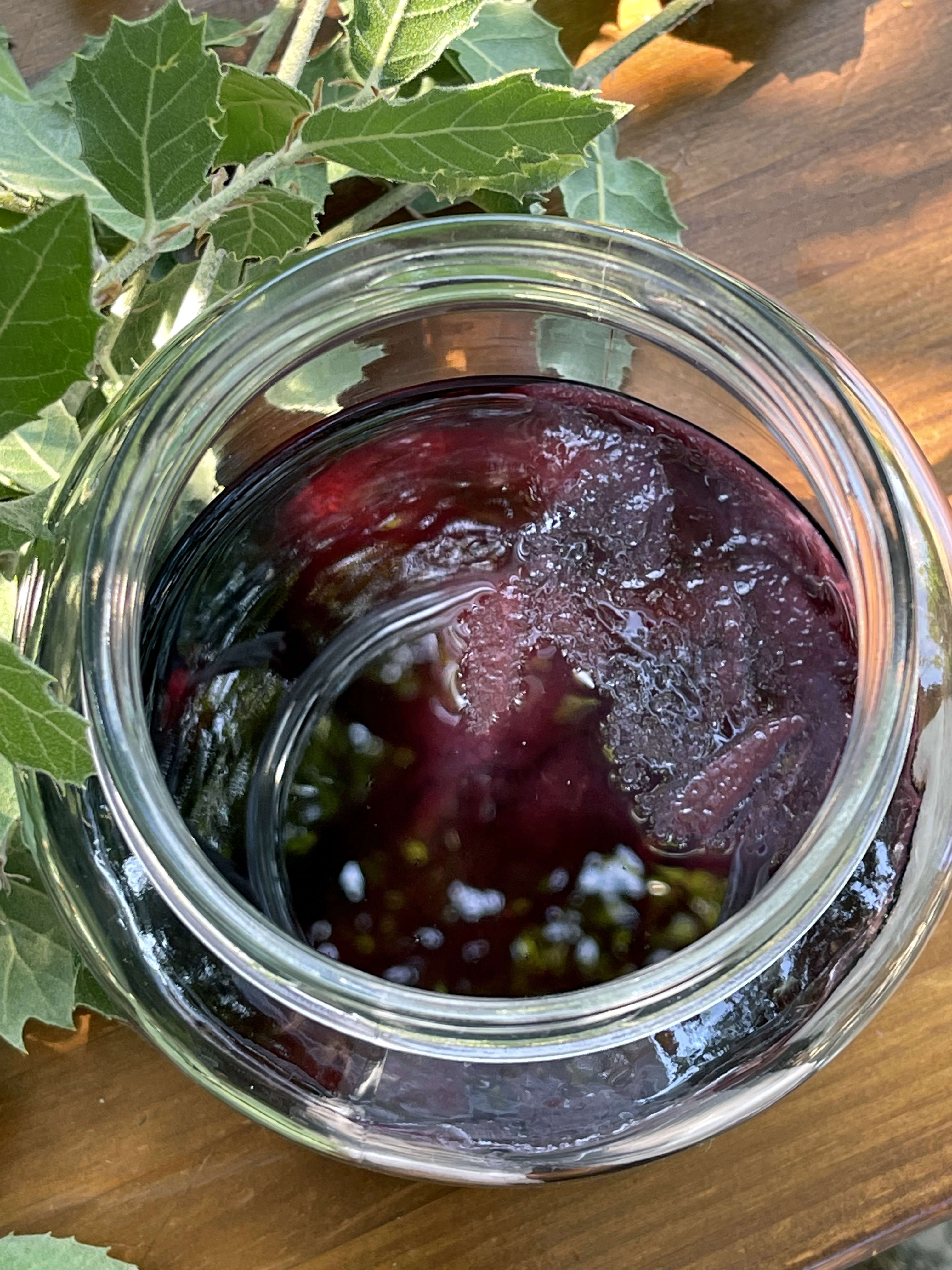 red wine vinegar brewing in a large glass jar