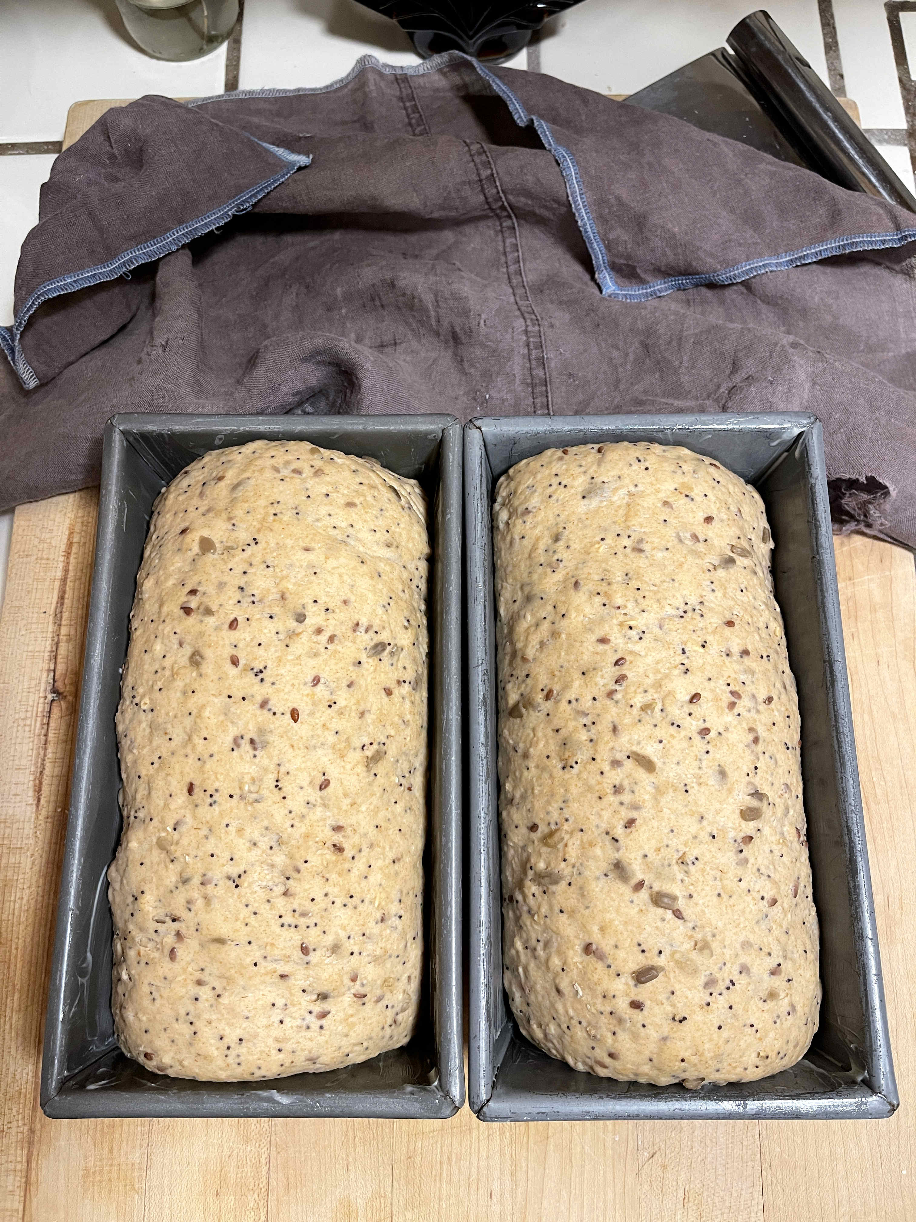 formed loaves of multigrain sourdough discard bread in loaf pans ready have proofed and are ready for baking