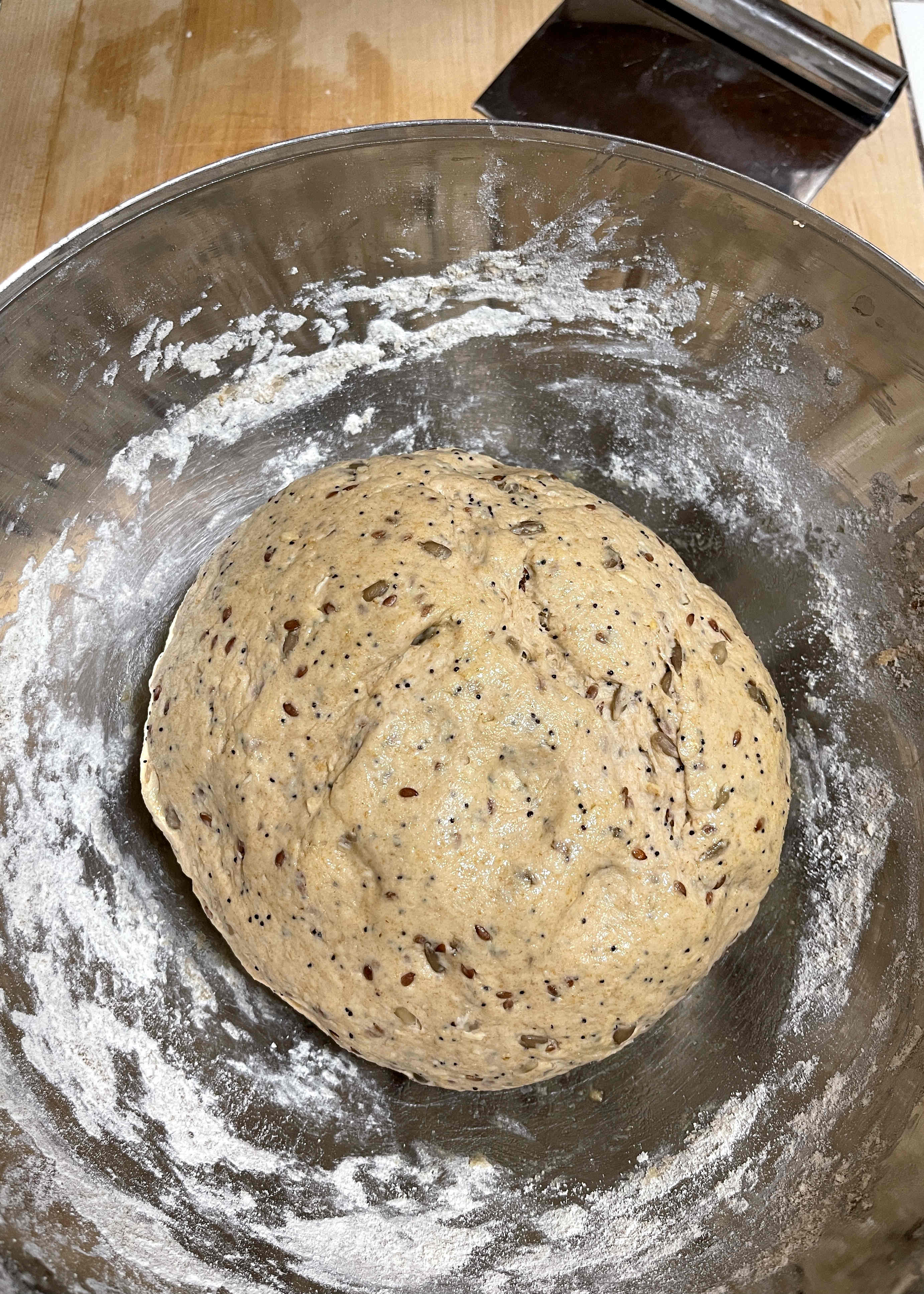 A ball of multigrain bread in a stainless steel bowl at the start of proofing. It hasn't risen at all yet.