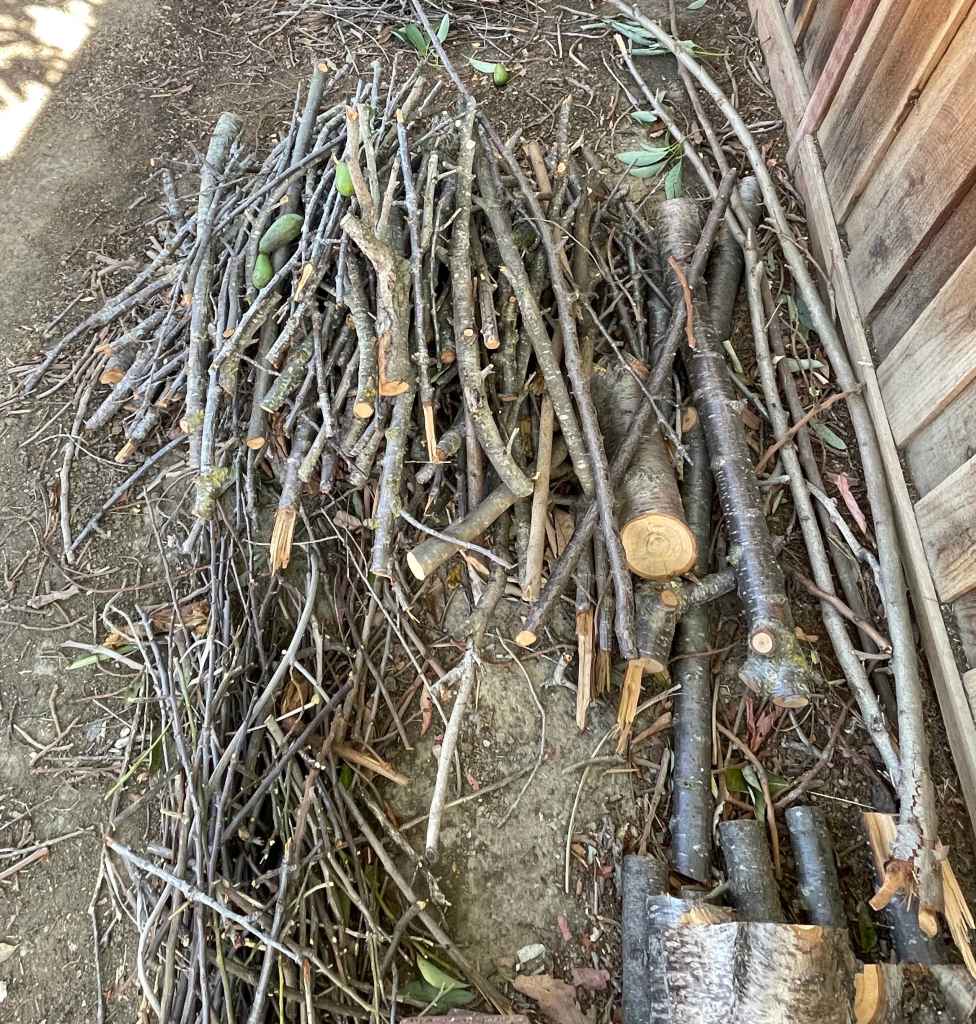Many dead branches and logs piled on the ground. We saved these to fill hugelkultur raised beds.