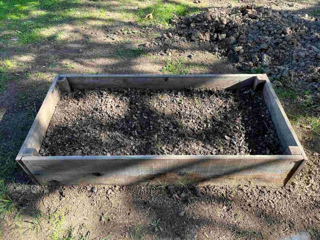 A raised hugelkultur bed in the yard filled with logs and branches in the bottom and compost and soil on top. Some seedlings are growing in it.