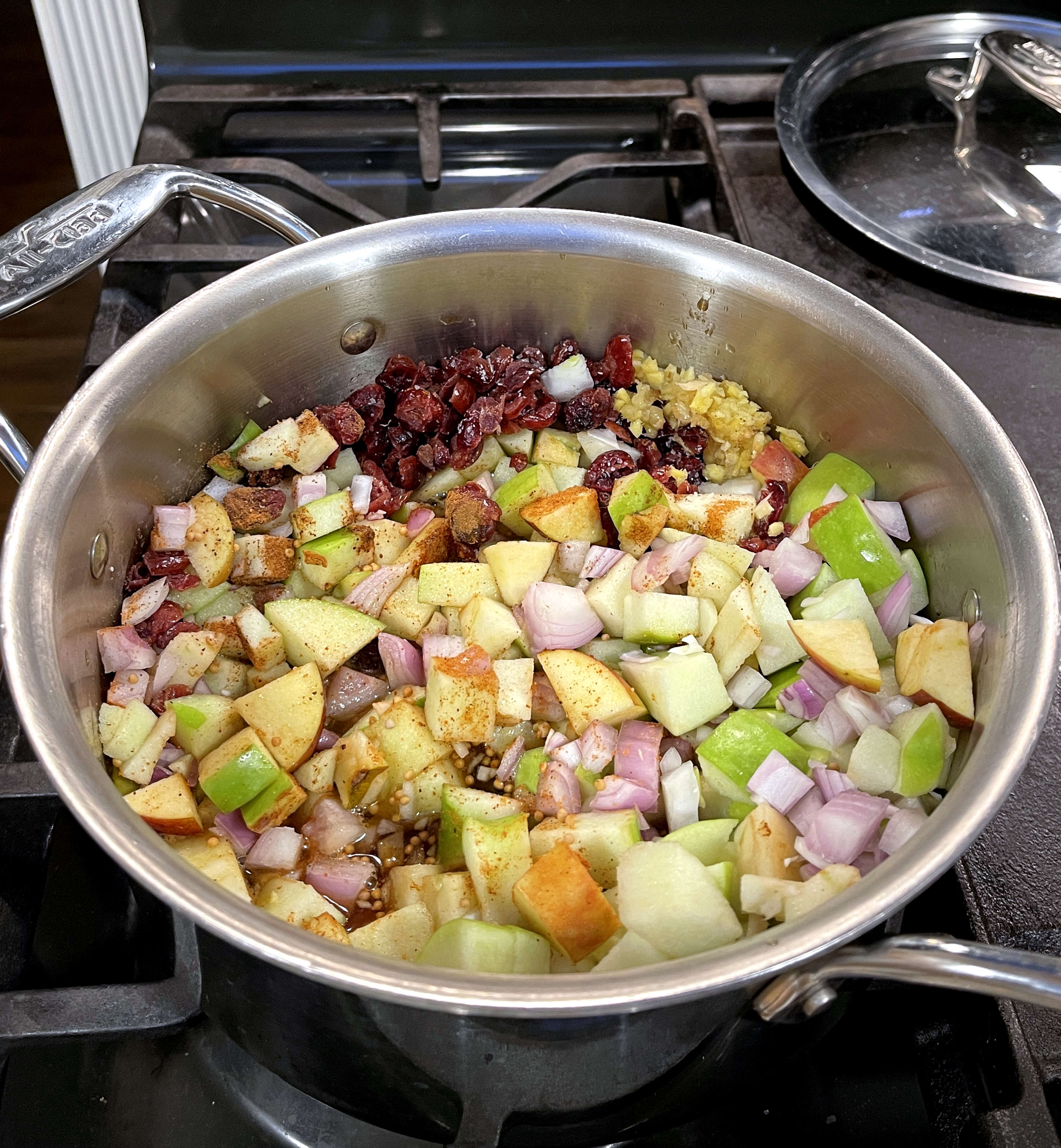 Chopped chutney ingredients in a stainless steel pot sitting on the stove at the start of cooking. The ingredients include apples, shallot, minced garlic, dried cranberries, vinegar and spices.
