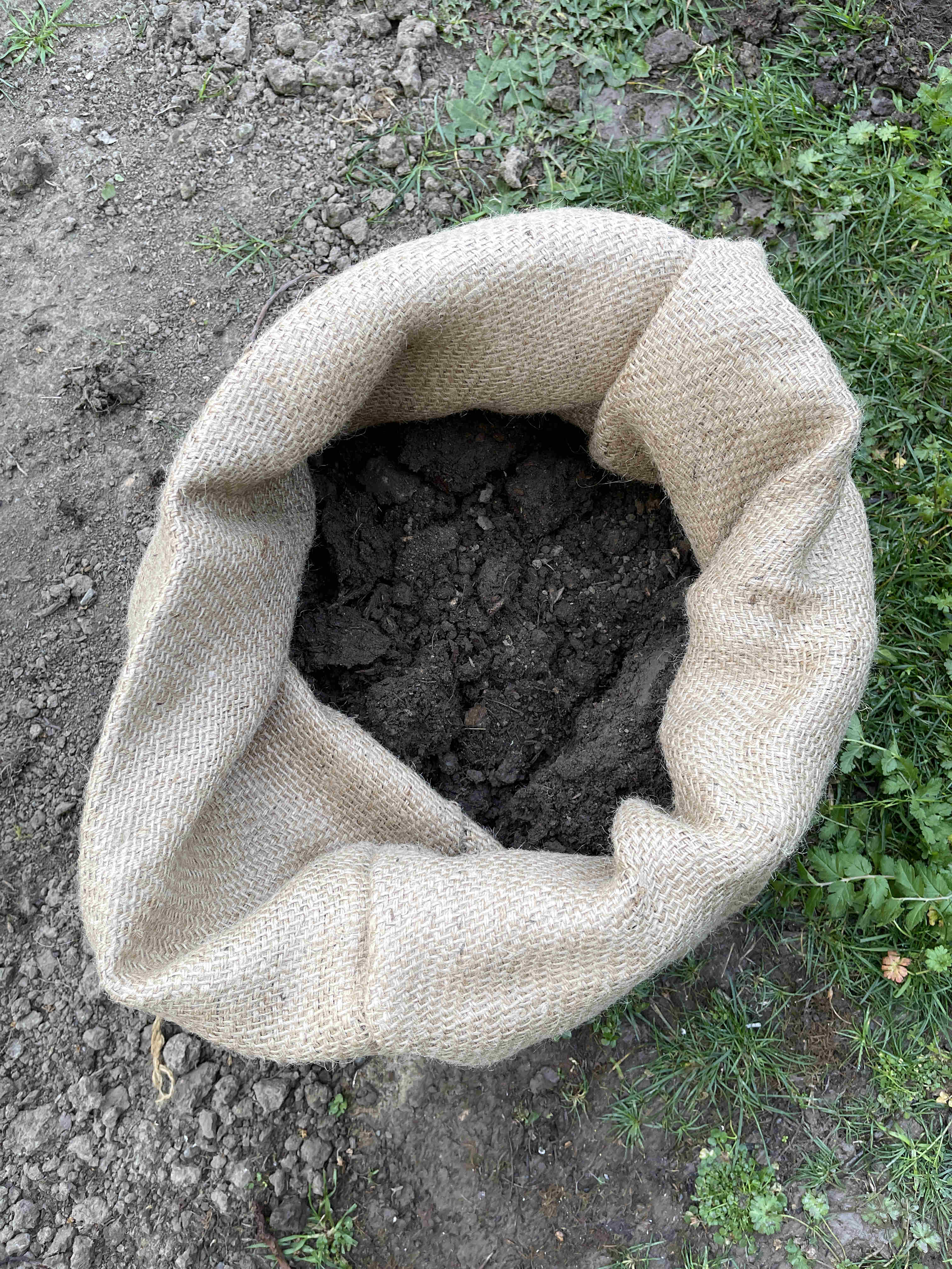 burlap sack planters partially filled