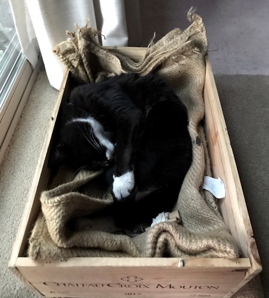 A black and white tuxedo cat sleeps curled up in a wine crate lined with a folded burlap sack