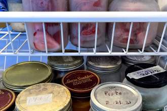 jars of frozen food in a freezer