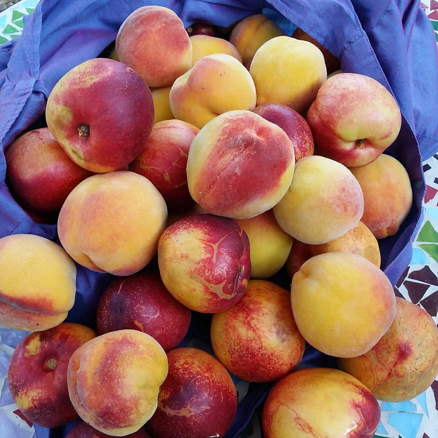a pile of fresh nectarines and peaches in a purple bag