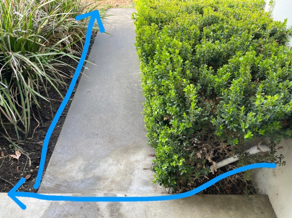 A sidewalk in the middle of plants. Blue arrows show the direction of greywater flowing from the washing machine to outside.