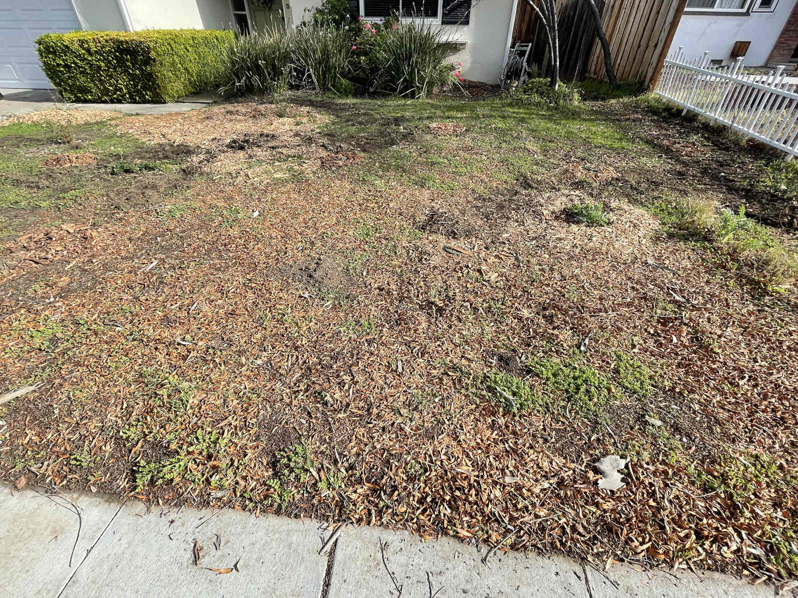 A greywater system installed in this front yard is barely noticeable