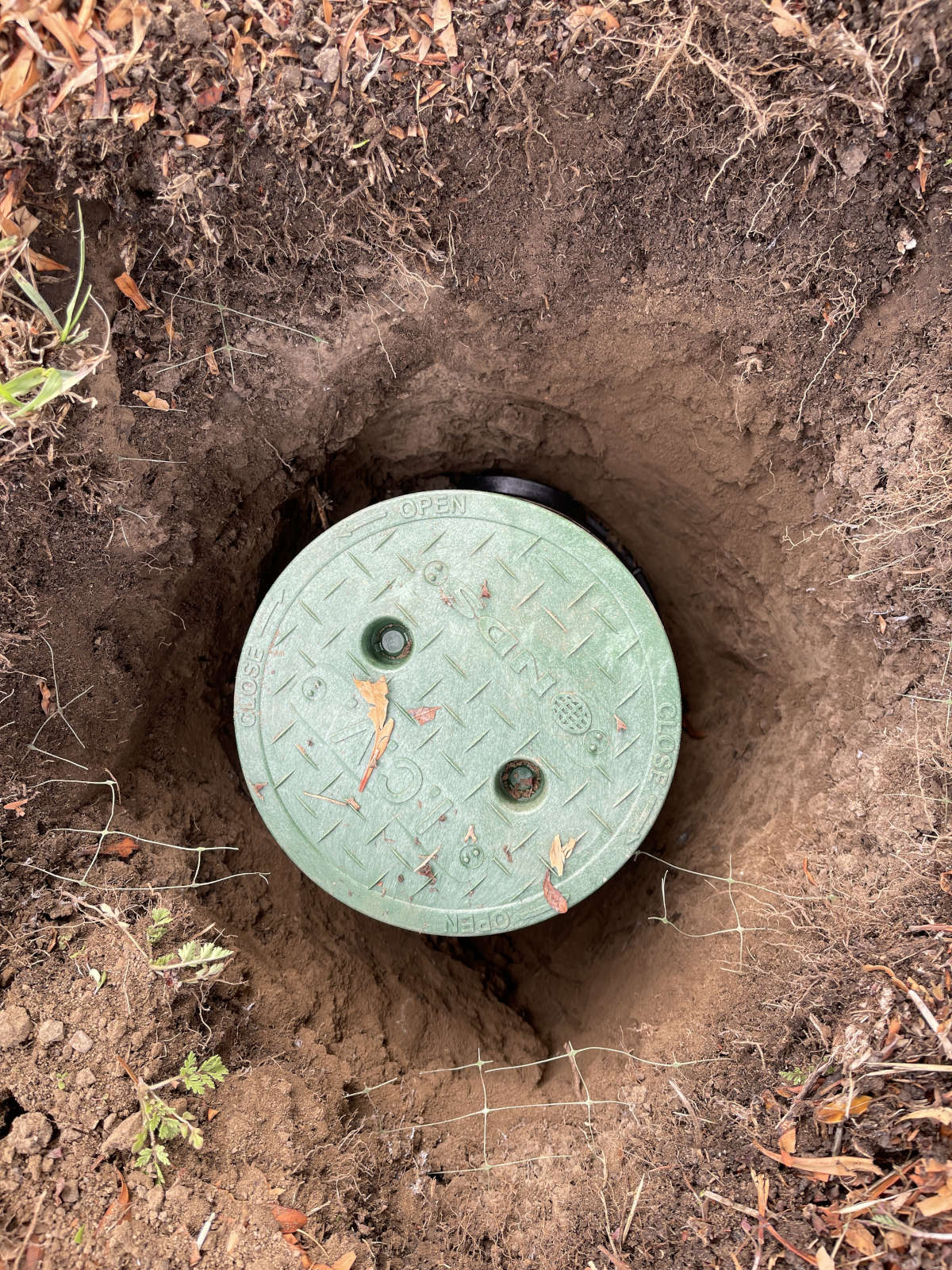 A round mulch basin with a green lid is buried in the soil