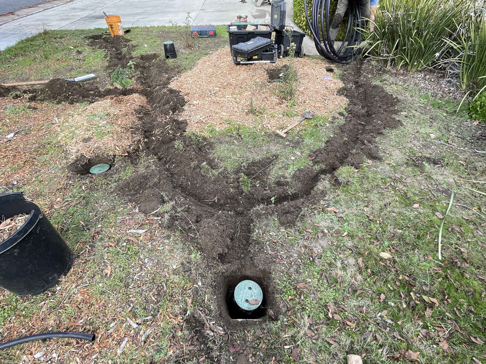 Small trenches dug in the soil in a yard for a greywater system