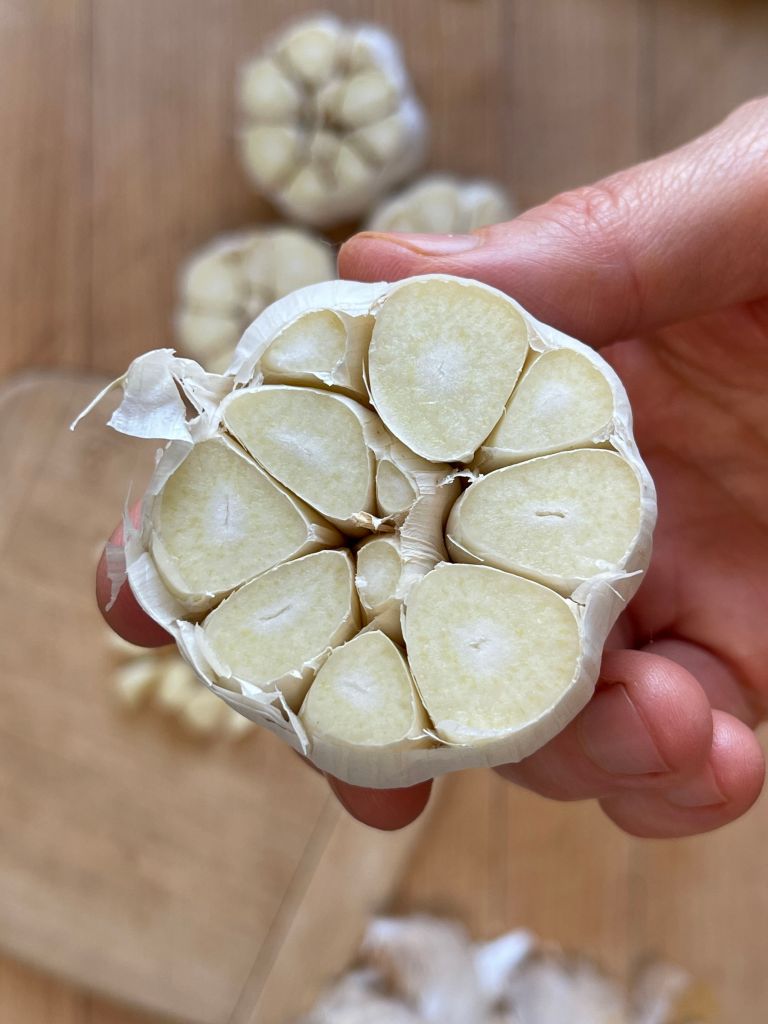A whole head of garlic with the top sliced off before roasting