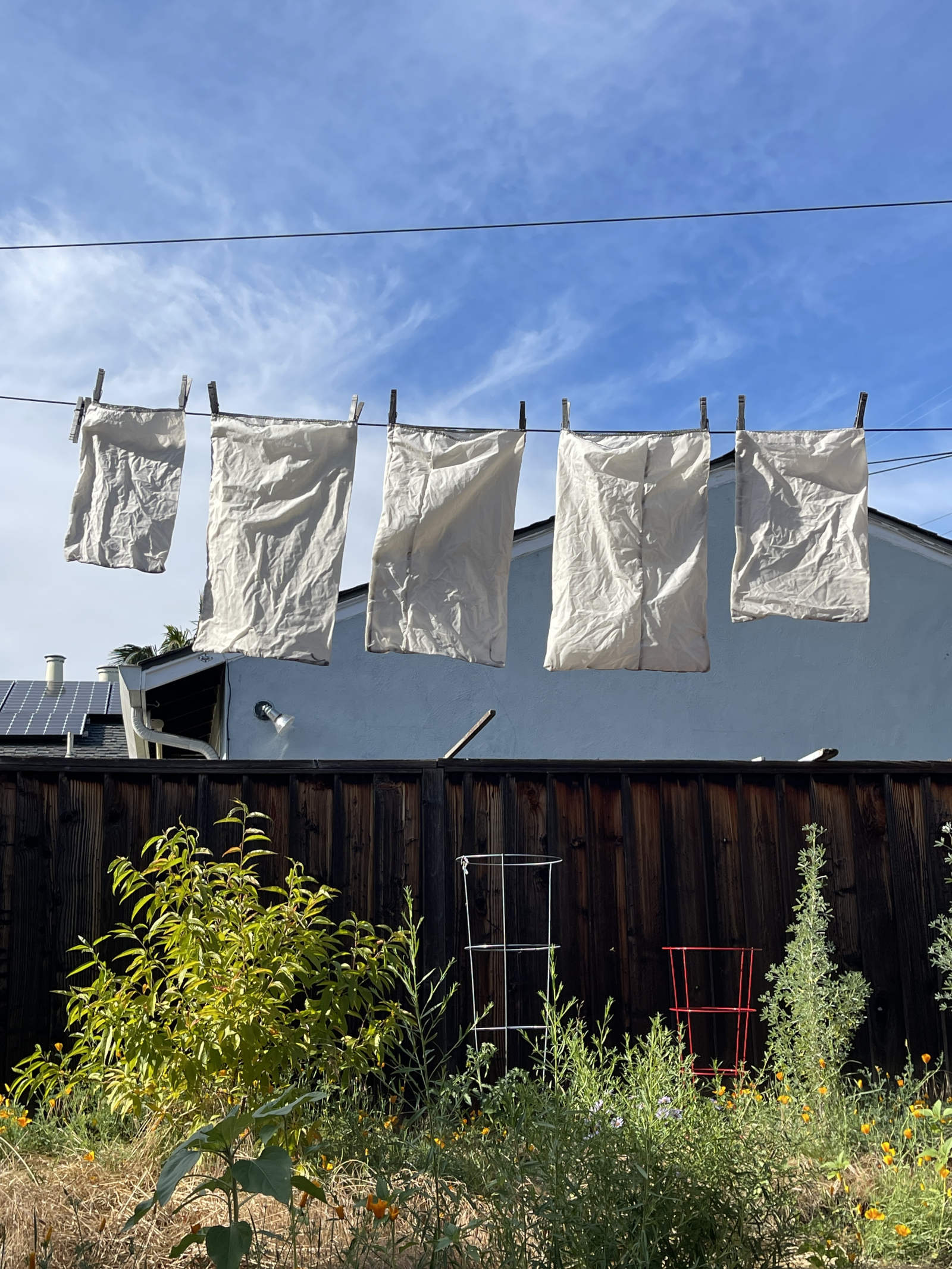 five white cloth produce bags dry on a clothesline outside against a blue sky. Trees and shrubs and flowers grow in the background along a dark wooden fence.