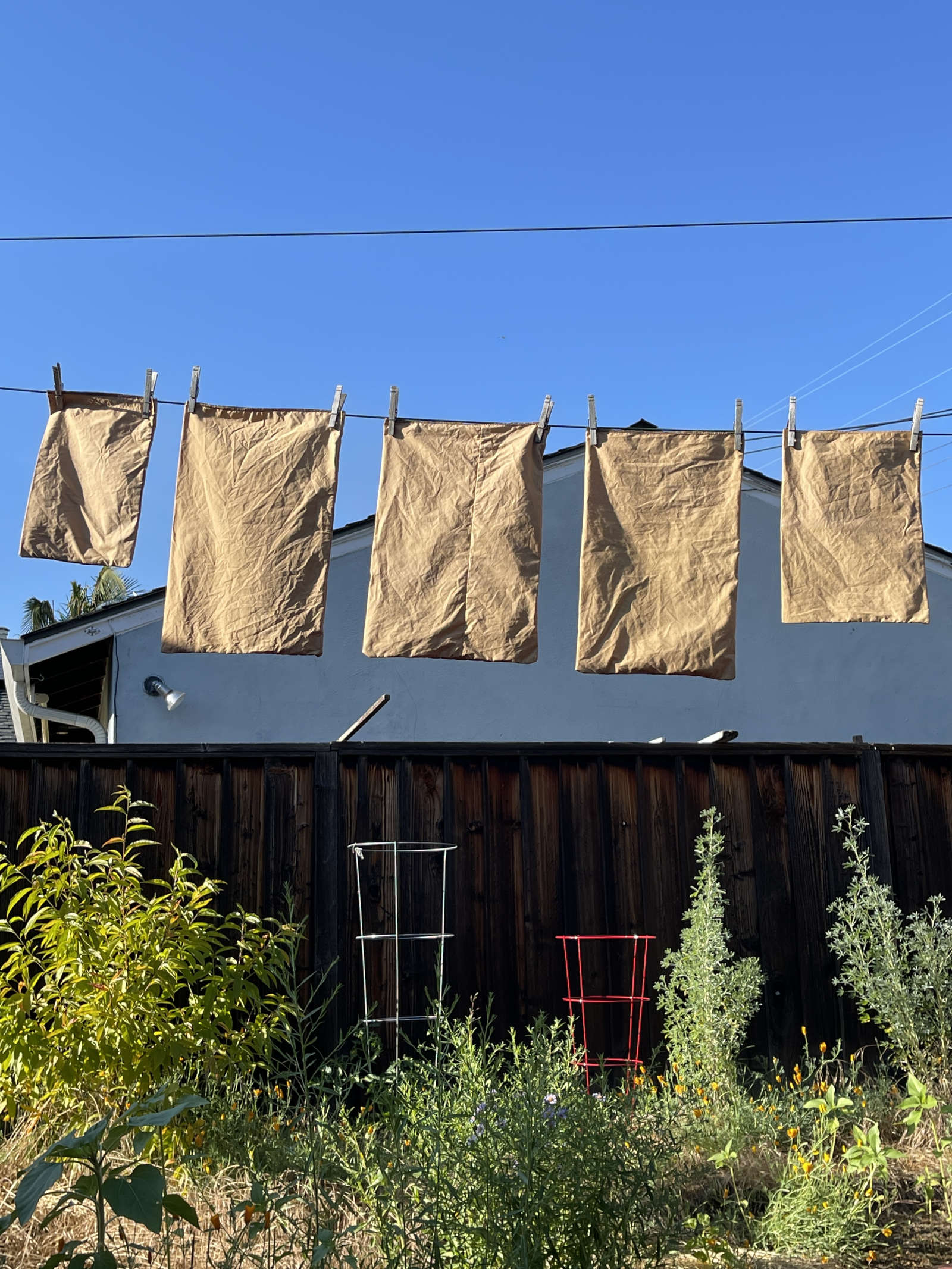 Five produce bags dyed with onion skins dry on a clothesline outside. In the background, plants grow in front of a dark wooded fence.