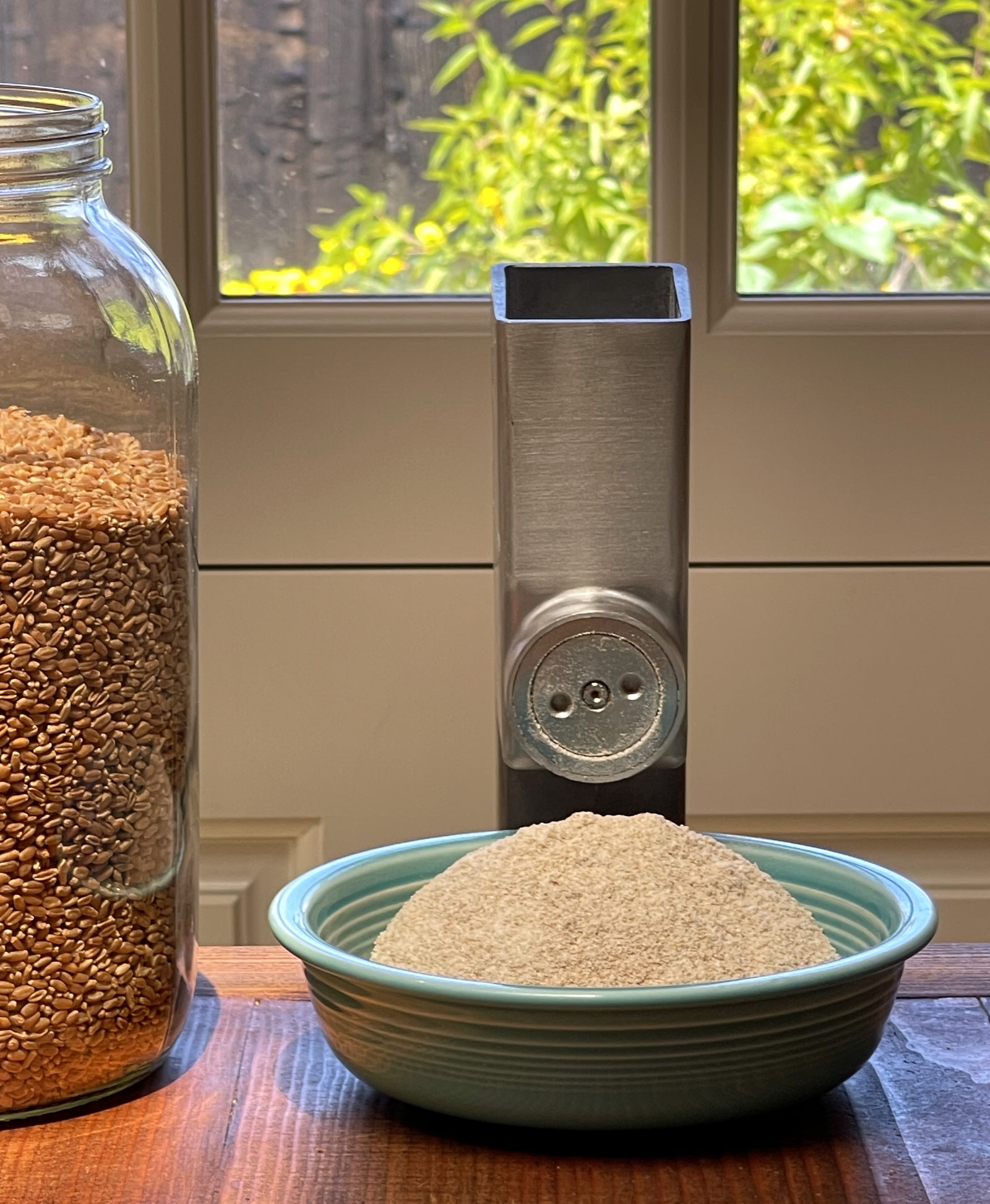 A metal grain mill sits about a turquoise bowl of freshly ground whole wheat flour. On the left is a large glass jar of wheat berries.