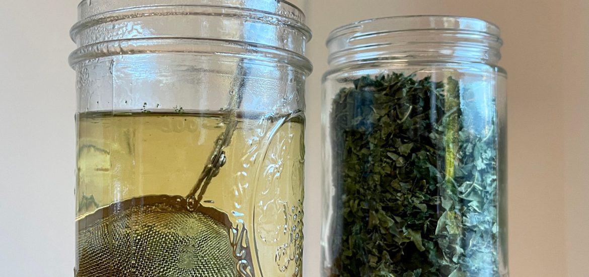 A cup of fig leaf tea brews in a mason jar. A jar of fig leaf tea sits nearby. Both jars are sitting on a dark wooden table.
