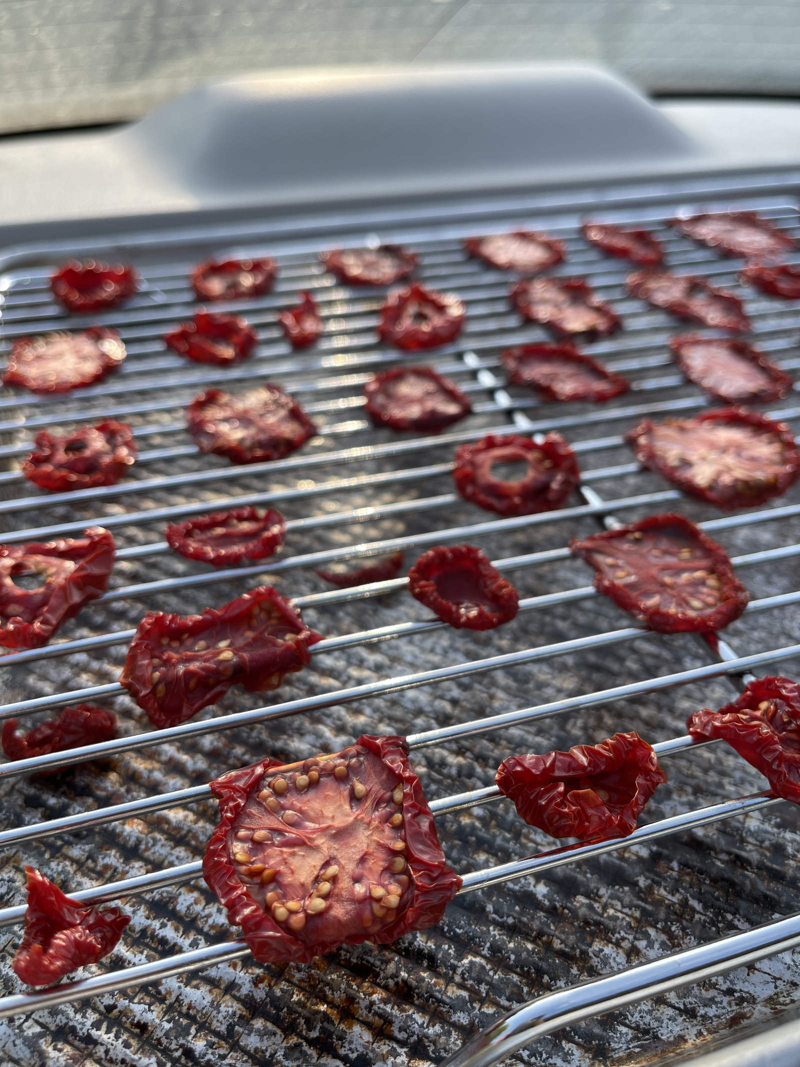 Dehydrated tomato slices sitting under the rear windshield of a car on a hot day. The tomatoes are spread across a rack set in a baking sheet.
