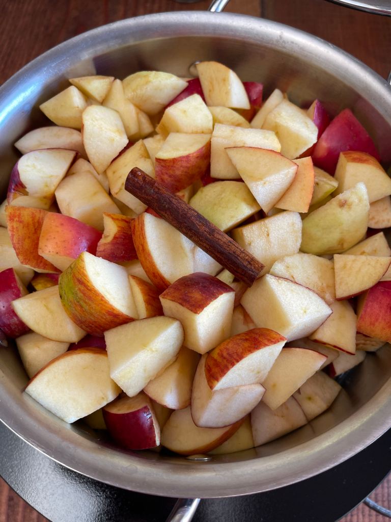 Chopped apples and a cinnamon stick sit in a 3 quart stainless steel pot
