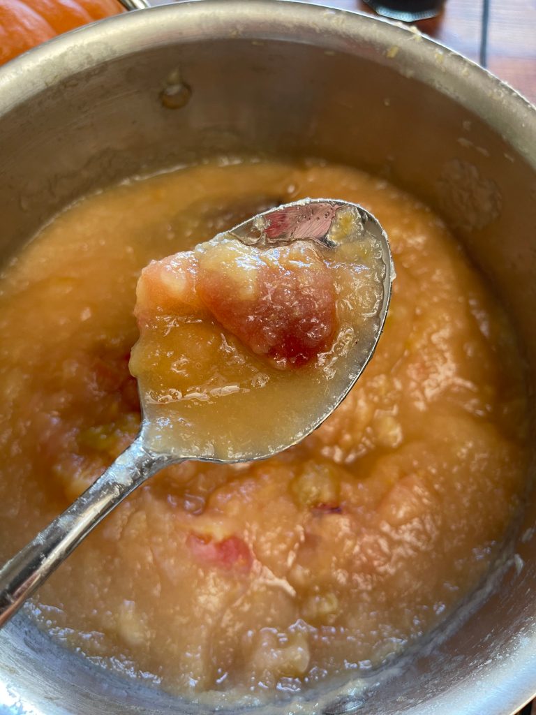A spoonful of applesauce made with unpeeled apples