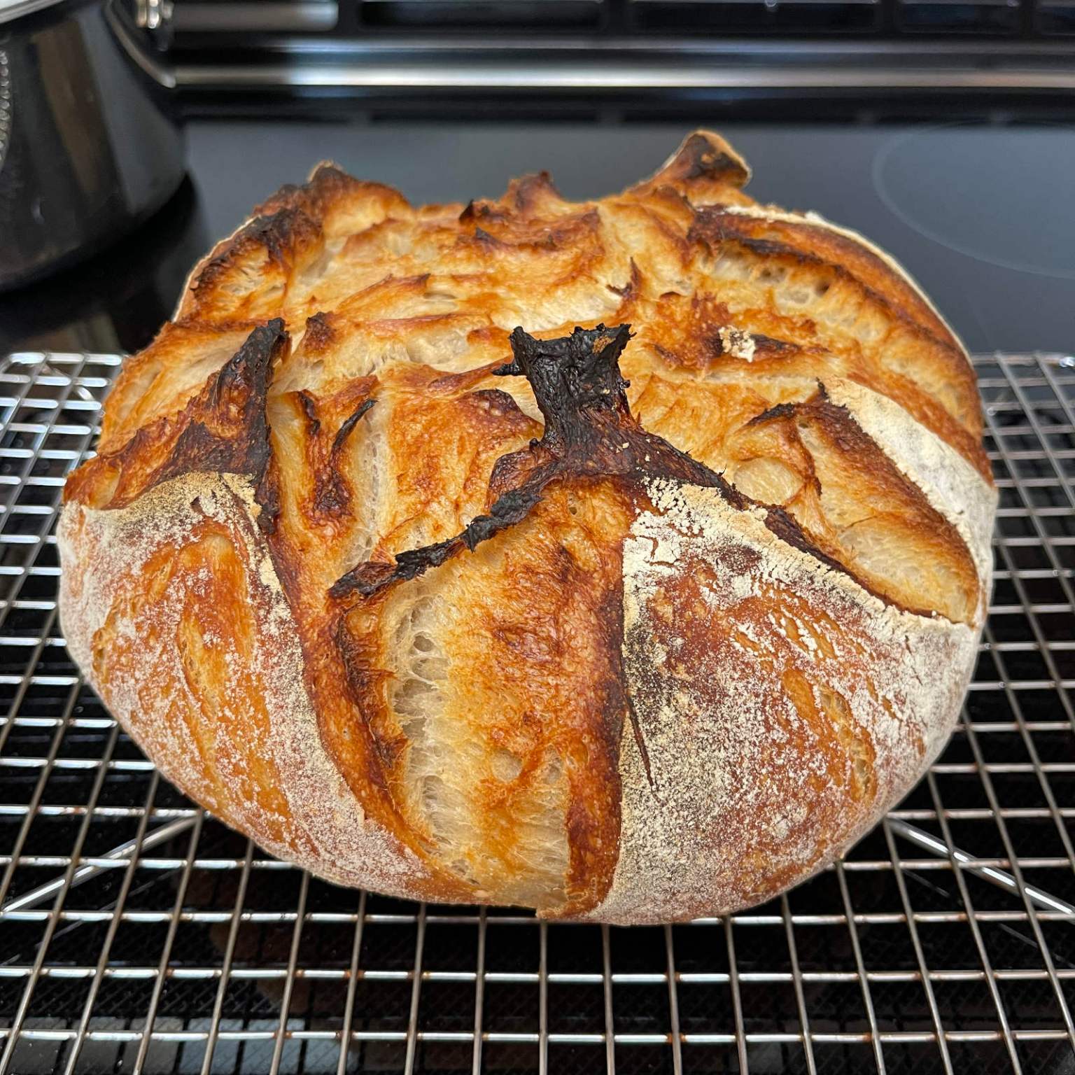 A loaf of sourdough bread cools on a silver cooling rack
