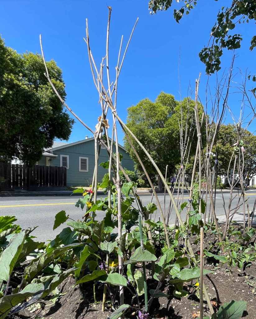 Plants planted by the curb grow up trellises made of twigs and branches